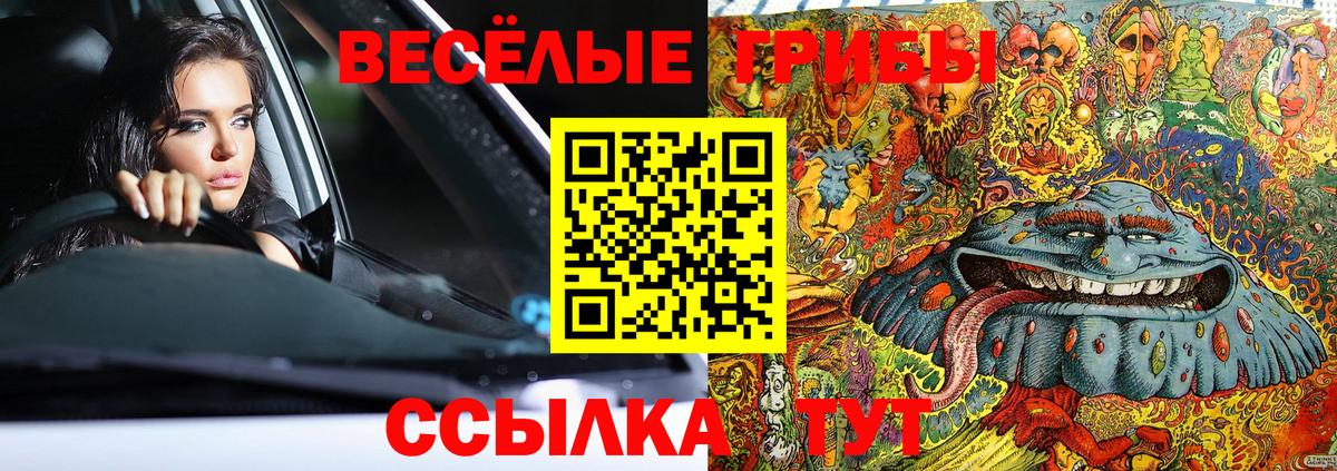 Южно-Сахалинск  Псилоцибиновые грибы Psilocybine cubensis  Вход с VPN  Псилоцибиновые грибы Psilocybe 